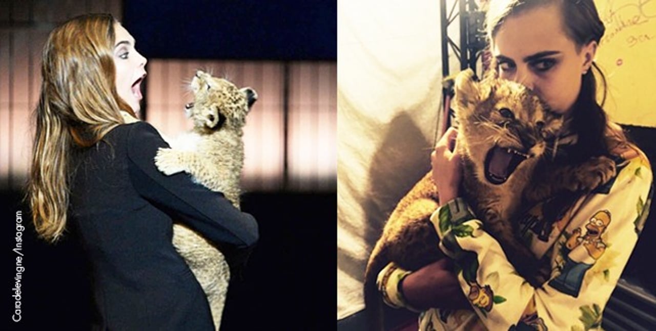 0125_cara_delevigne_posa_para_fotos_con_cachorro_de_leon_1