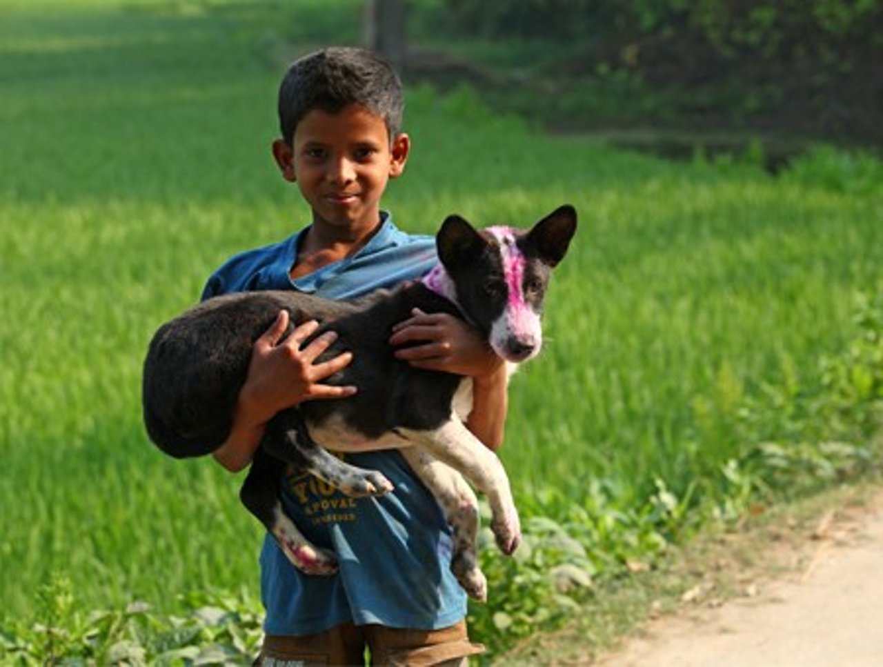 0408_acabando_con_el_sacrificio_inhumano_de_perros_en_bangladesh_2