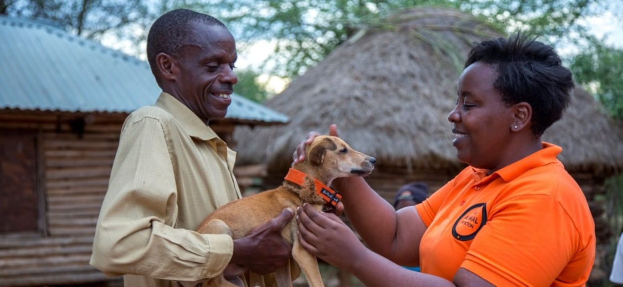 Bruno the dog from Kenya