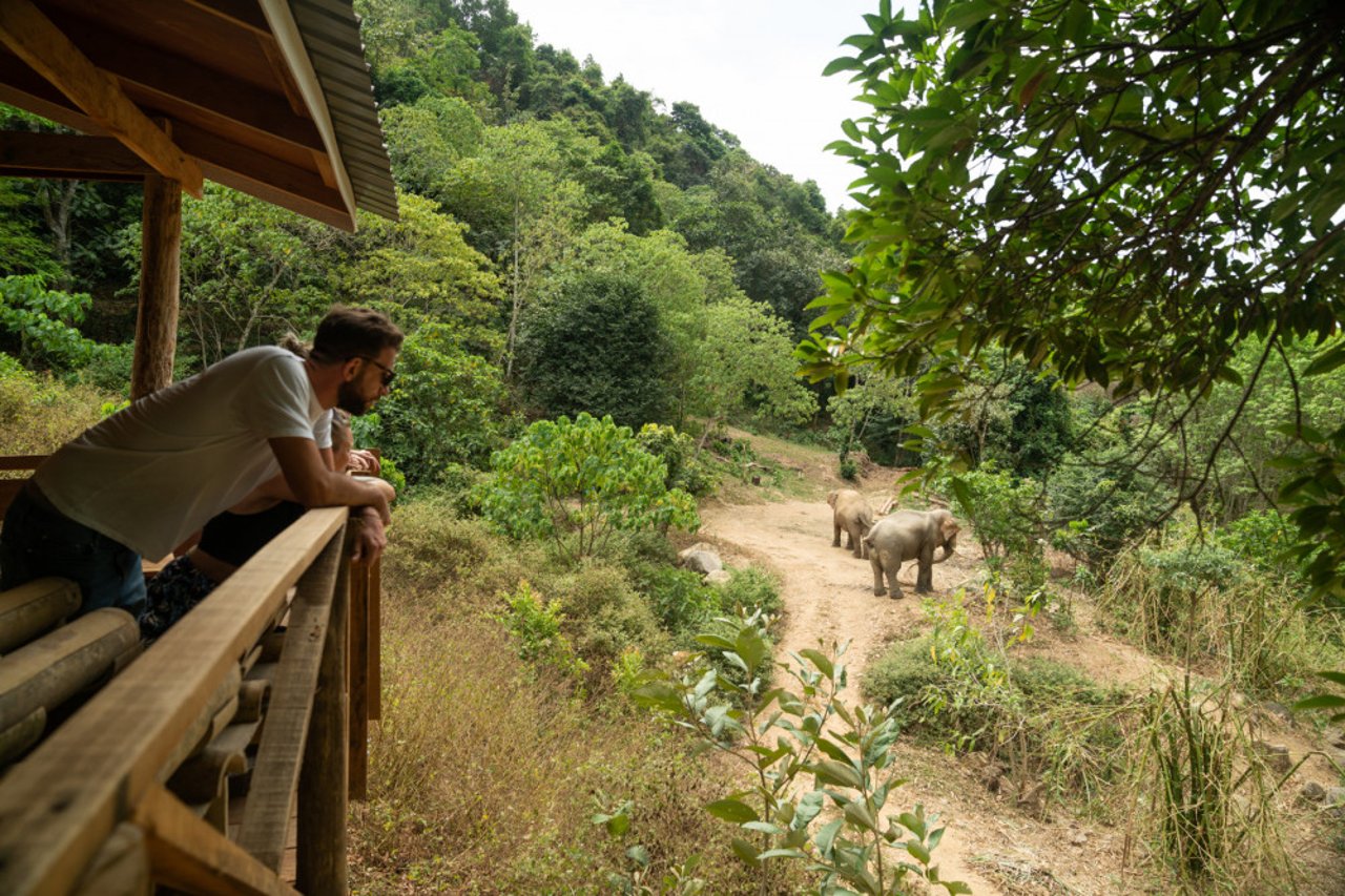 An observing platform at Following Giants, Thailand