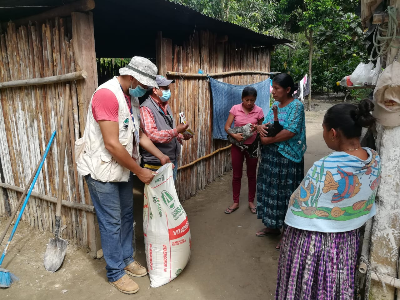guatemala-iota-eta