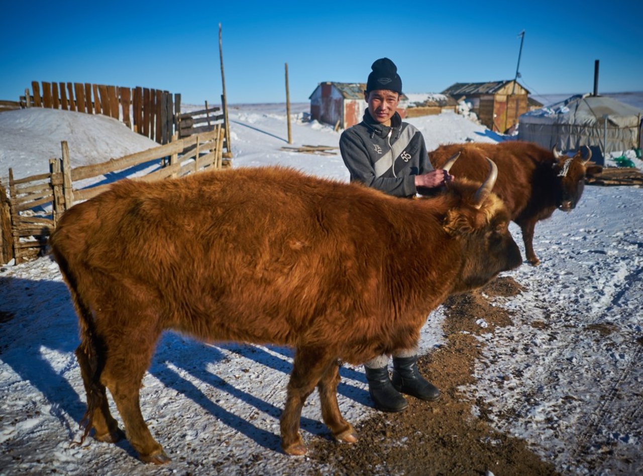 20160201_mongolia_dzud_015