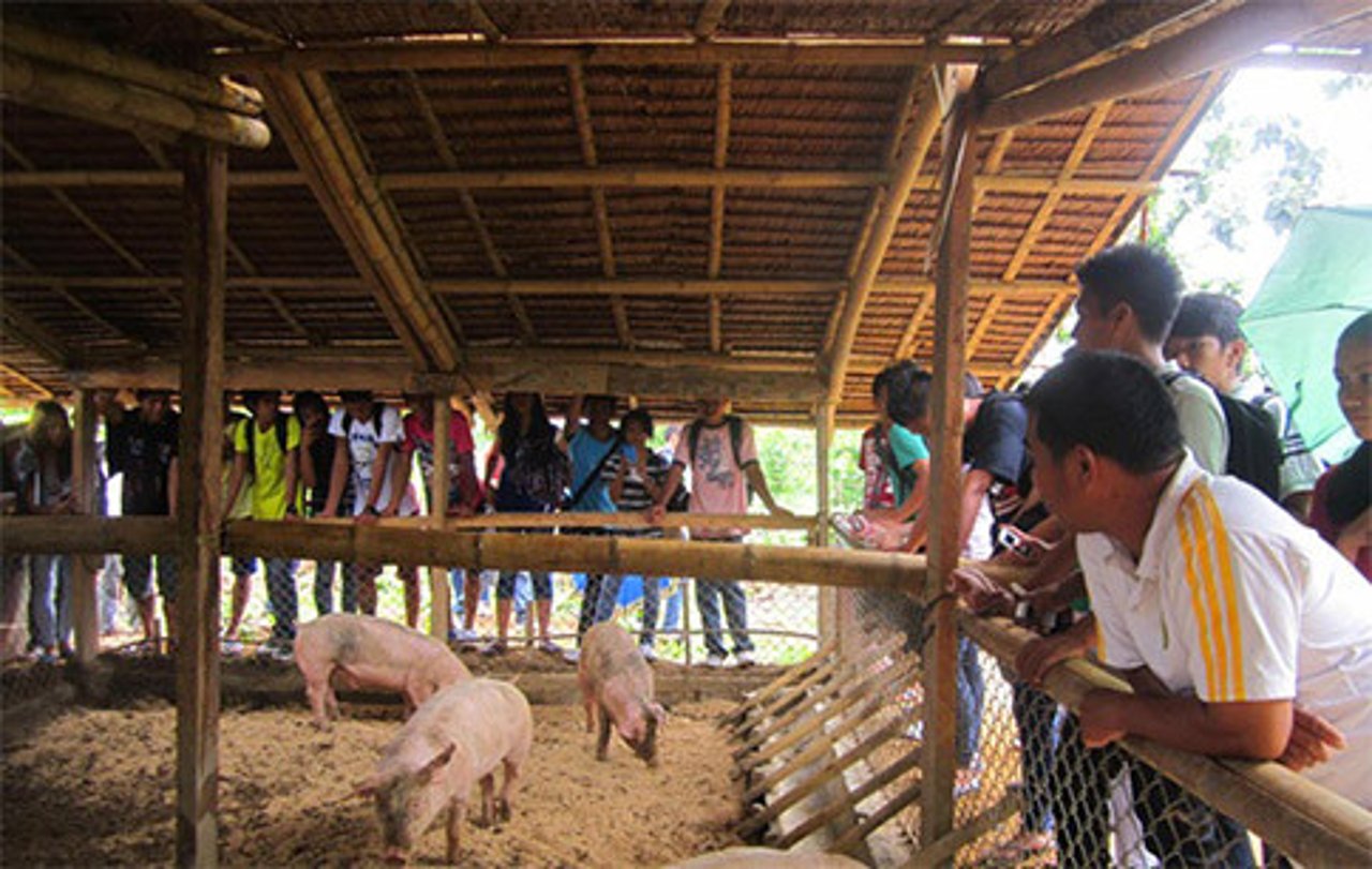 294_equipo_de_manejo_de_desastres_en_accion_2