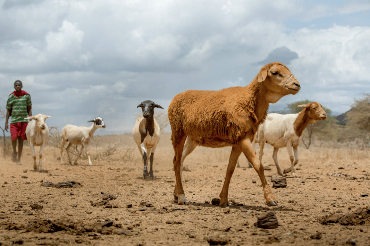 captura_de_pantalla_2019-06-16_a_las_5.48.38_p.m