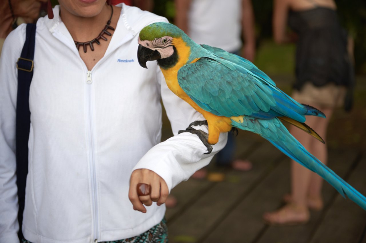 captura_de_pantalla_2019-10-23_a_las_16.22.02