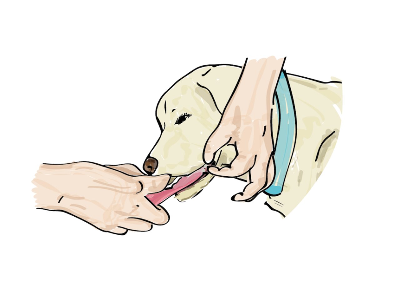imagen_1_-_respiracicn_artificial