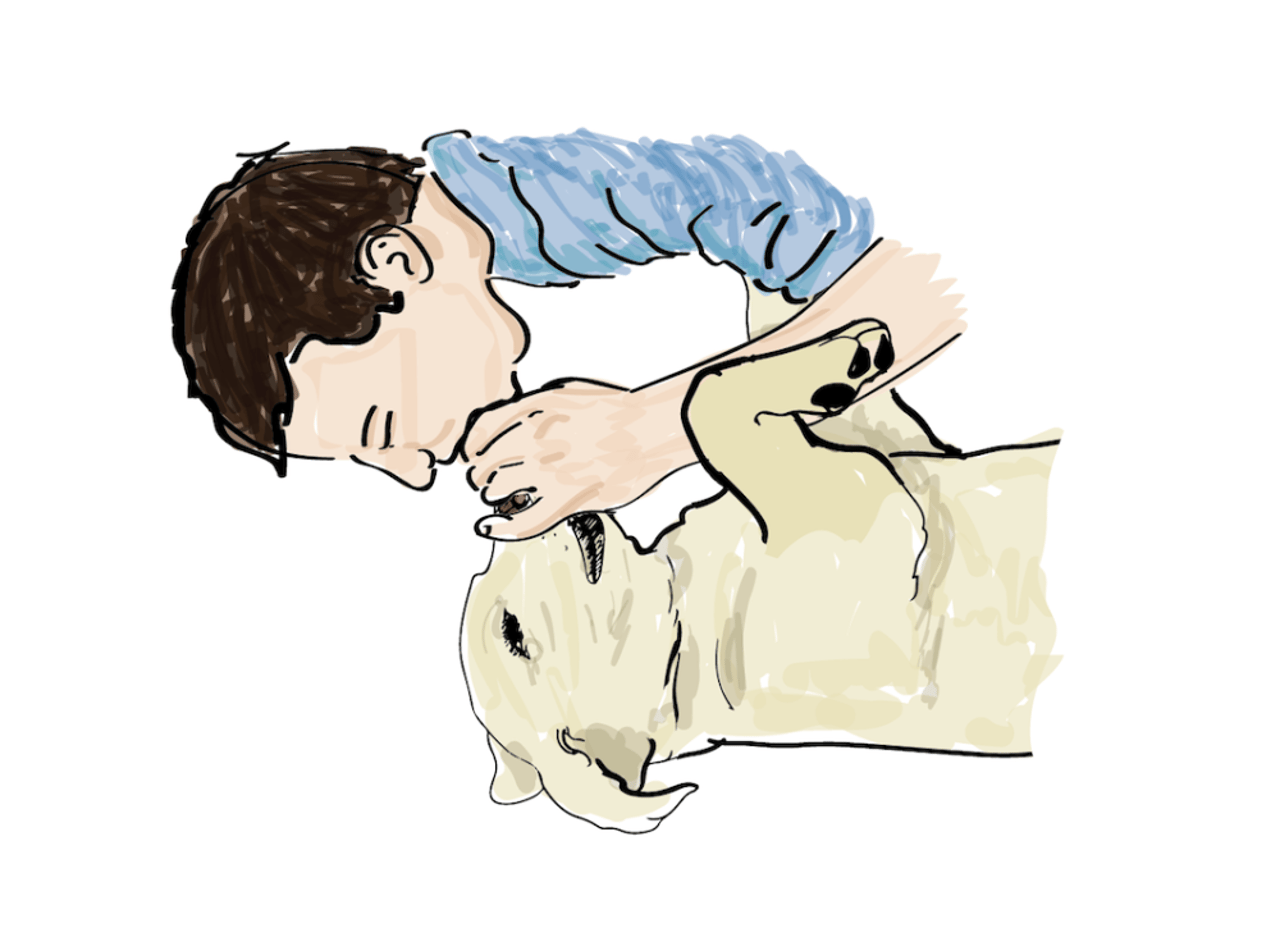 imagen_2_-_respiracicn_artificial_1
