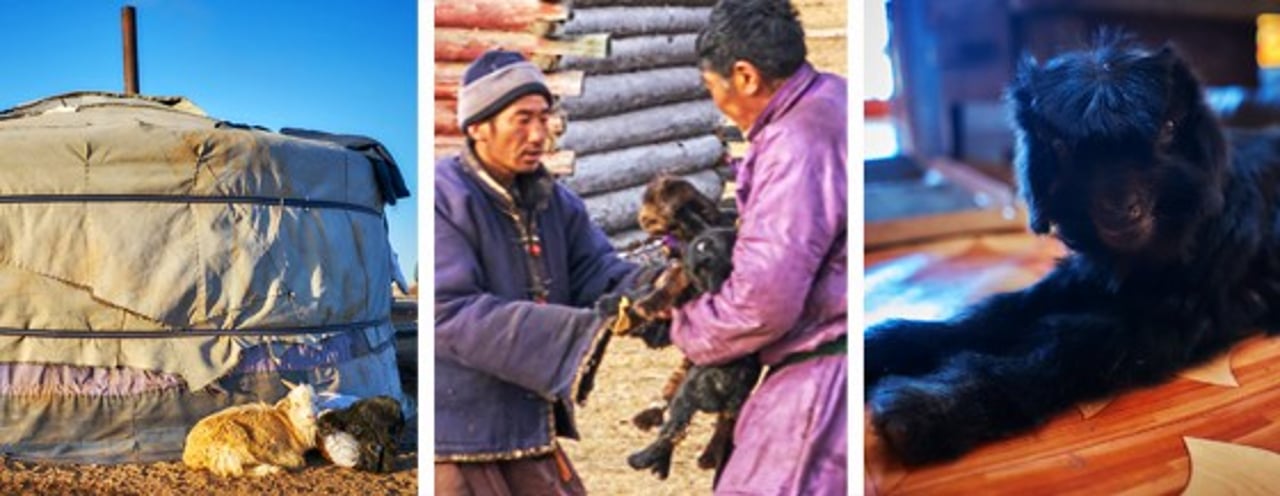 mongolia3
