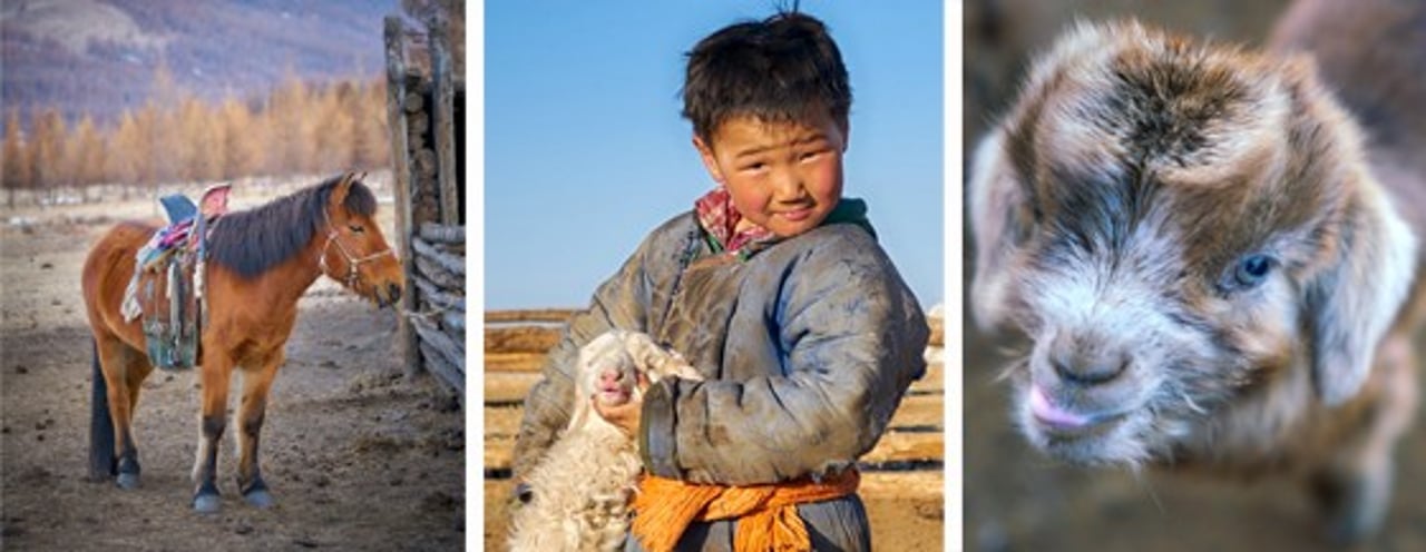 mongolia4