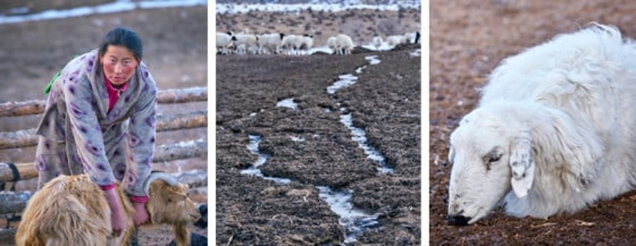 mongolia5