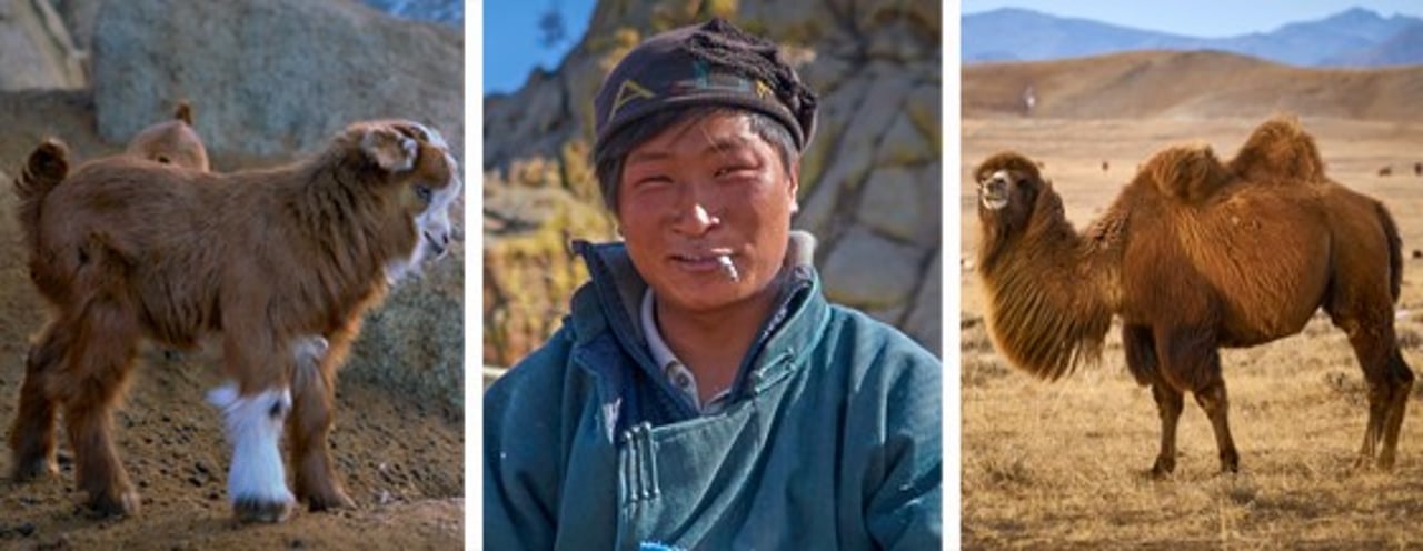 mongolia8