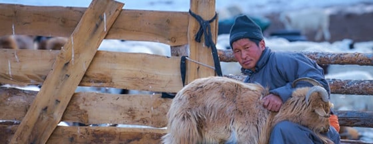 mongolia9