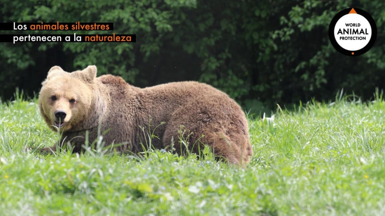 oso_zoom
