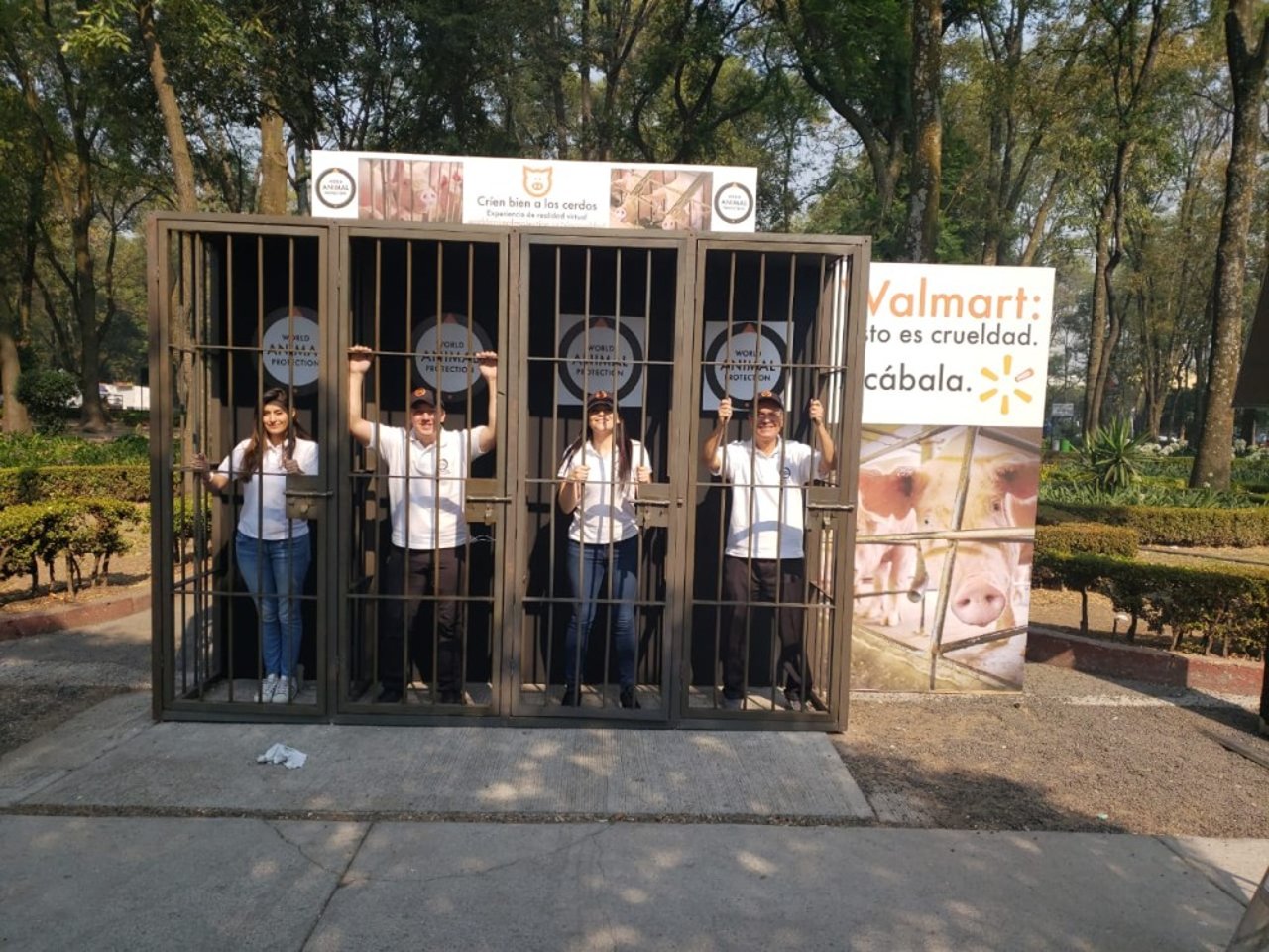 whatsapp_image_2019-05-12_at_10.51.26_am