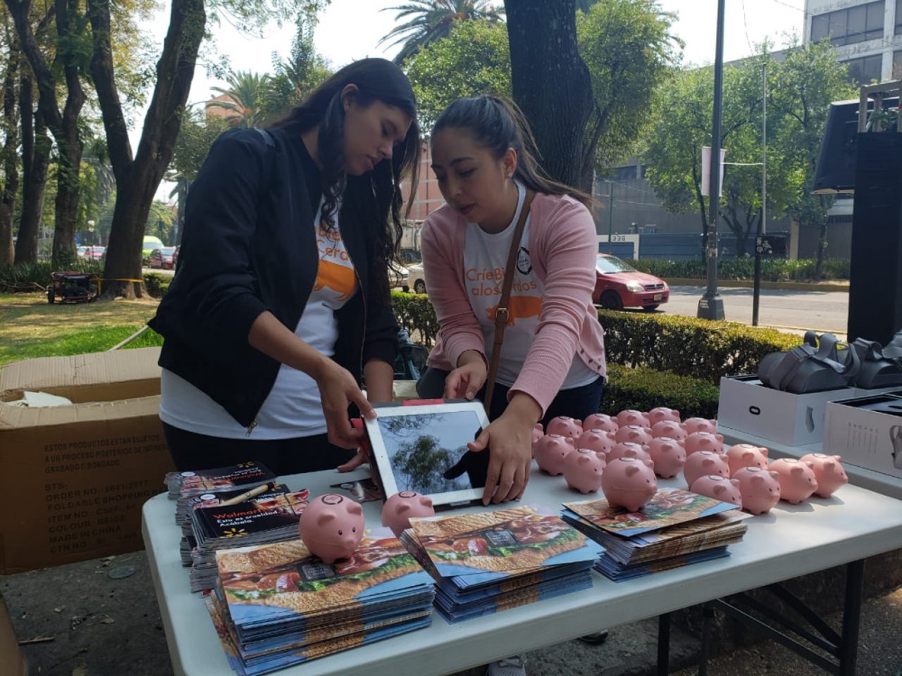 whatsapp_image_2019-05-12_at_10.51.26_am_1