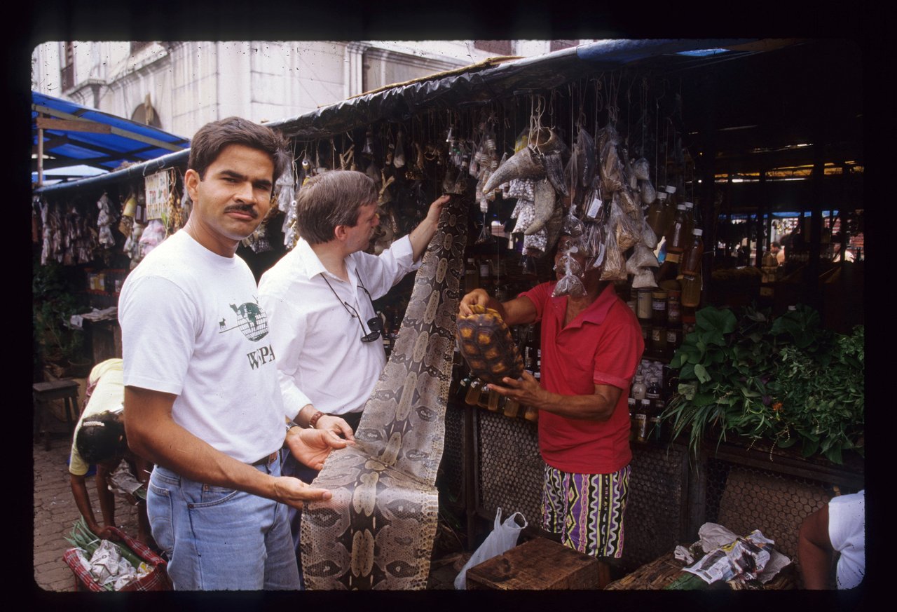 Sosteniendo una piel de serpiente en el Mercado Belem Perú