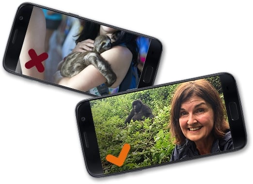 Ejemplo de selfies de turistas