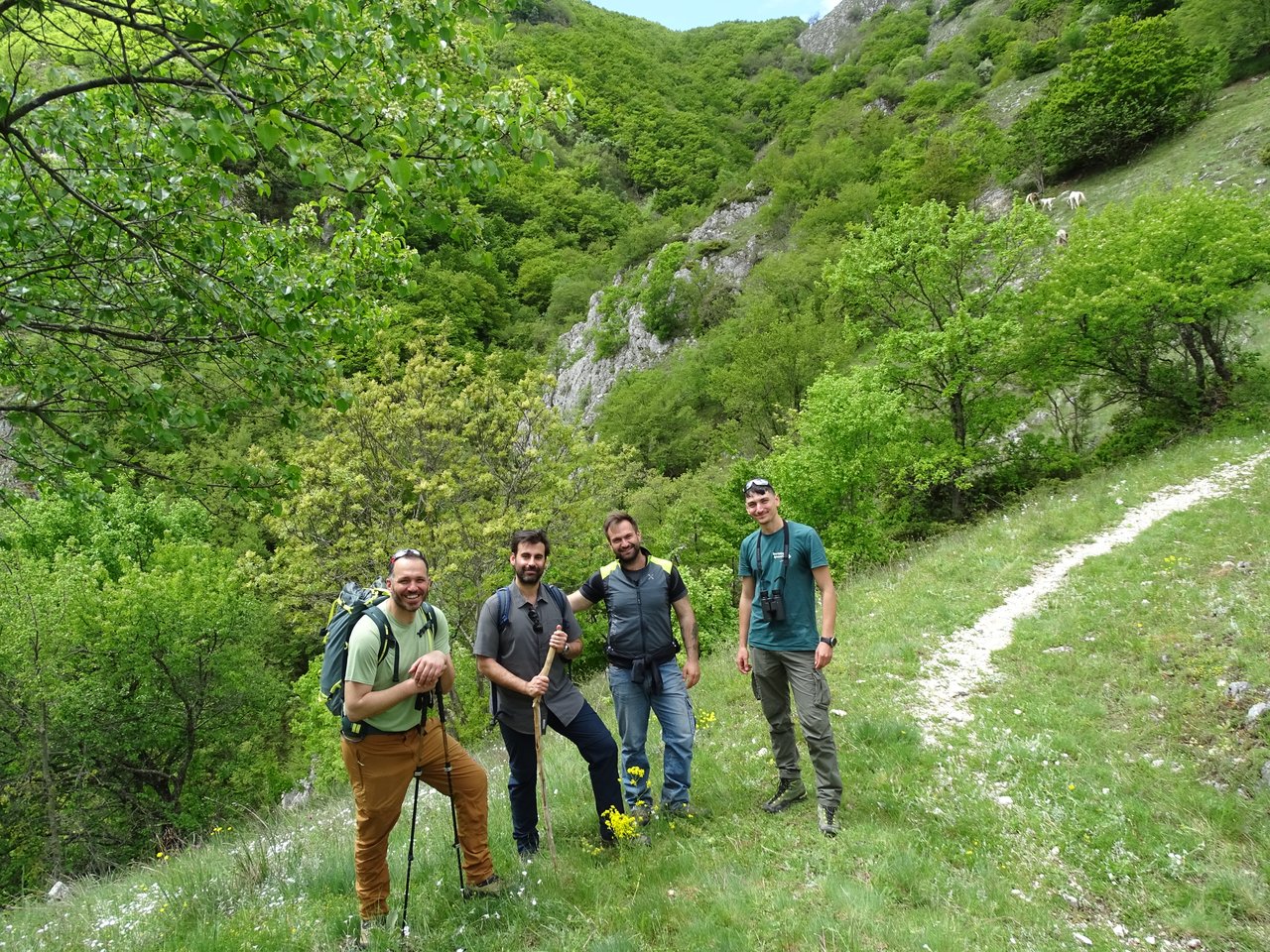 Equipo de conservación de Rewilding Apennines en una zona montañosa verde del Sitio Patrimonio del Oso Marsicano