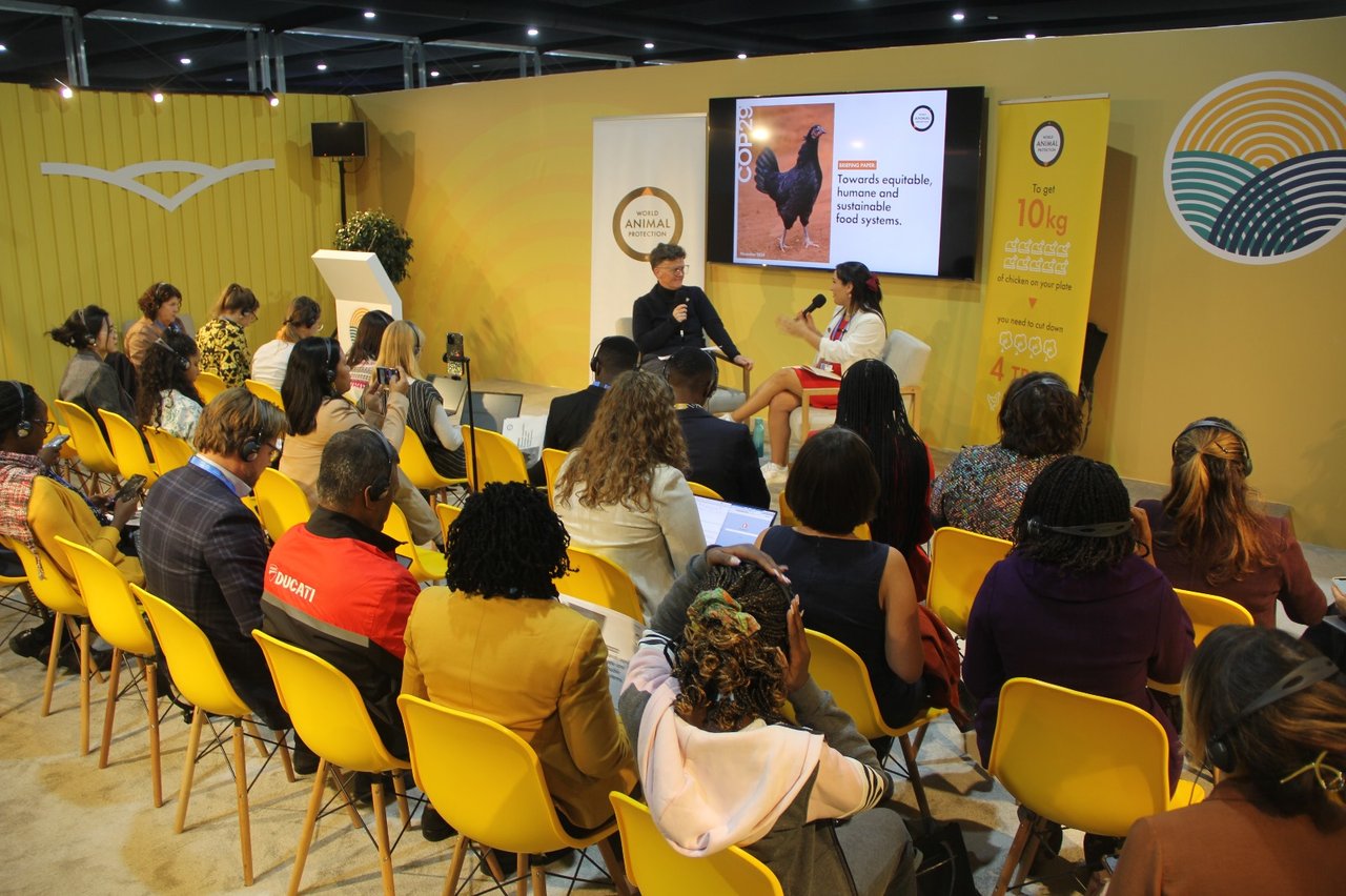 Actividad de World Animal Protection en la COP29