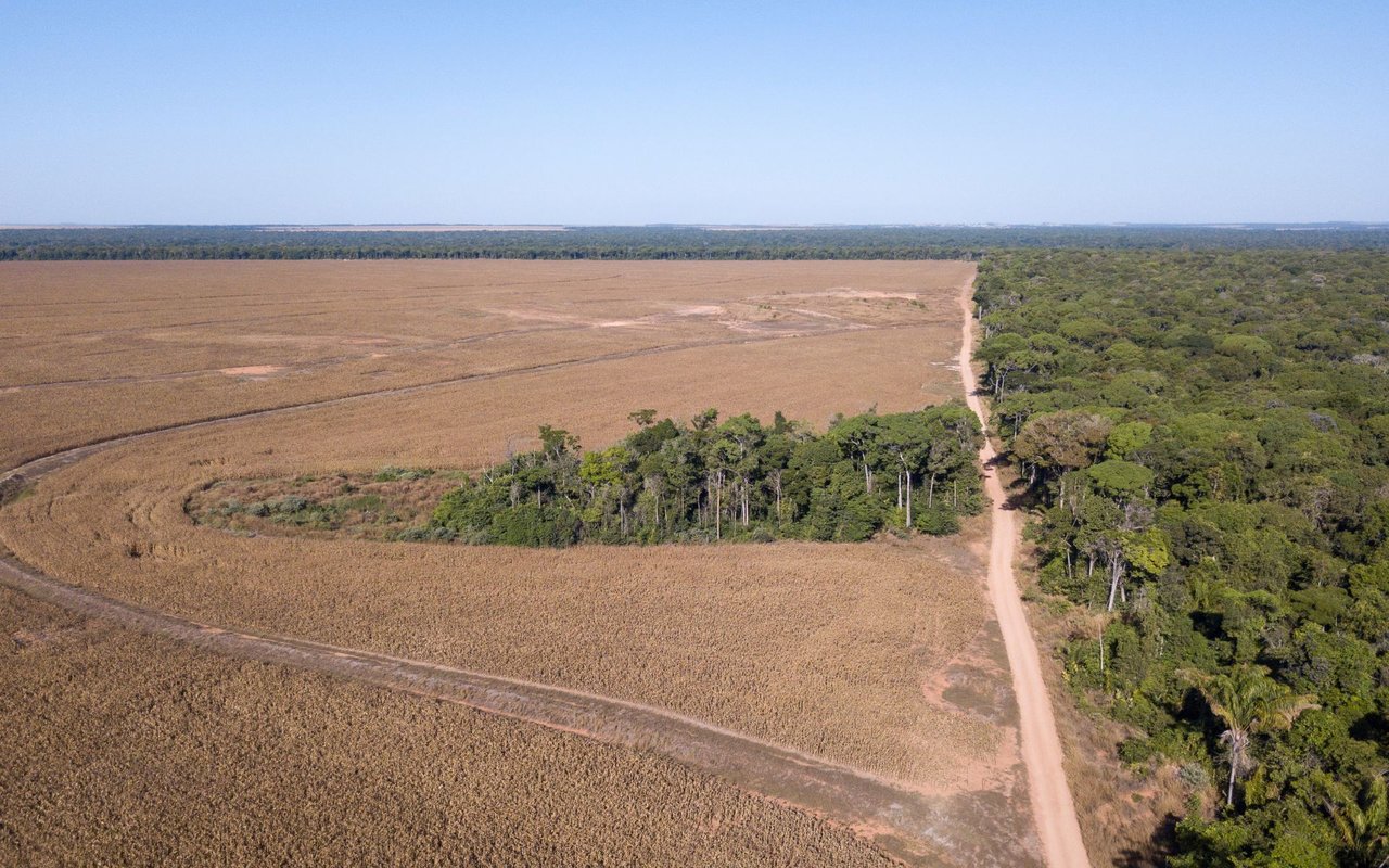 una gran extensión de terrero deforestado al lado de la Selva Amazónica.