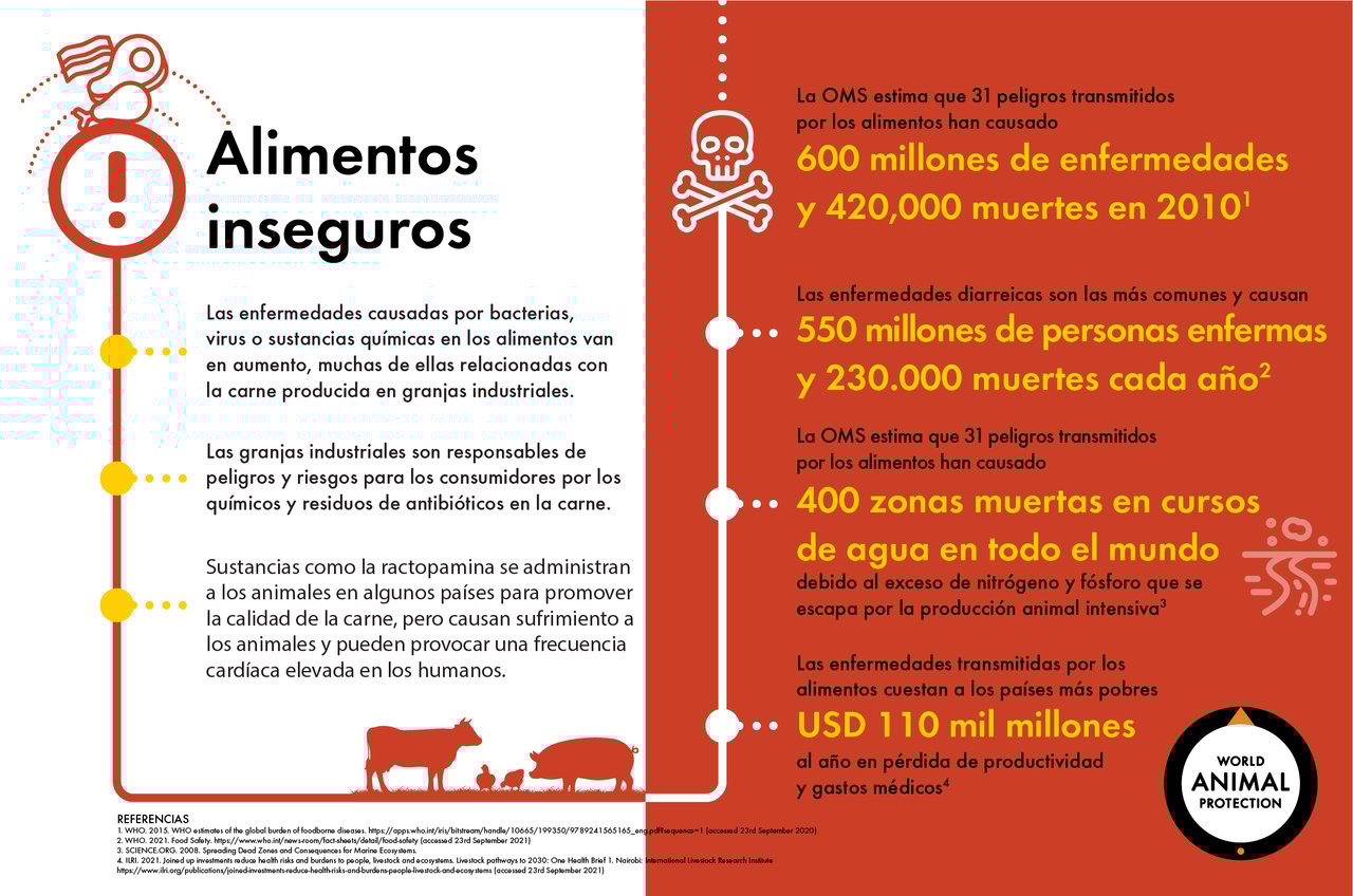 Infográfico muestra impactos en los alimentos de las granjas industriales