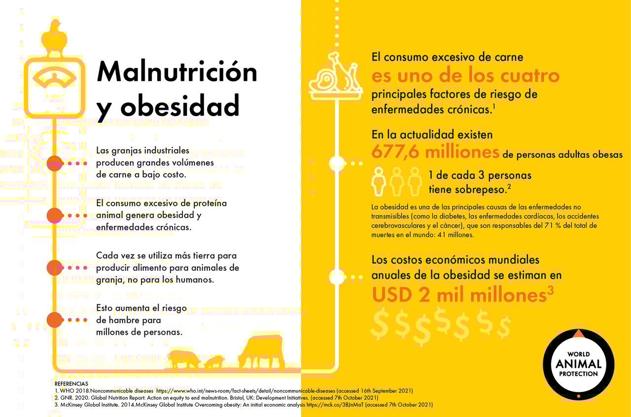 Infográfico muestra como las granjas industriales influyen en la malnutrición y la obesidad.