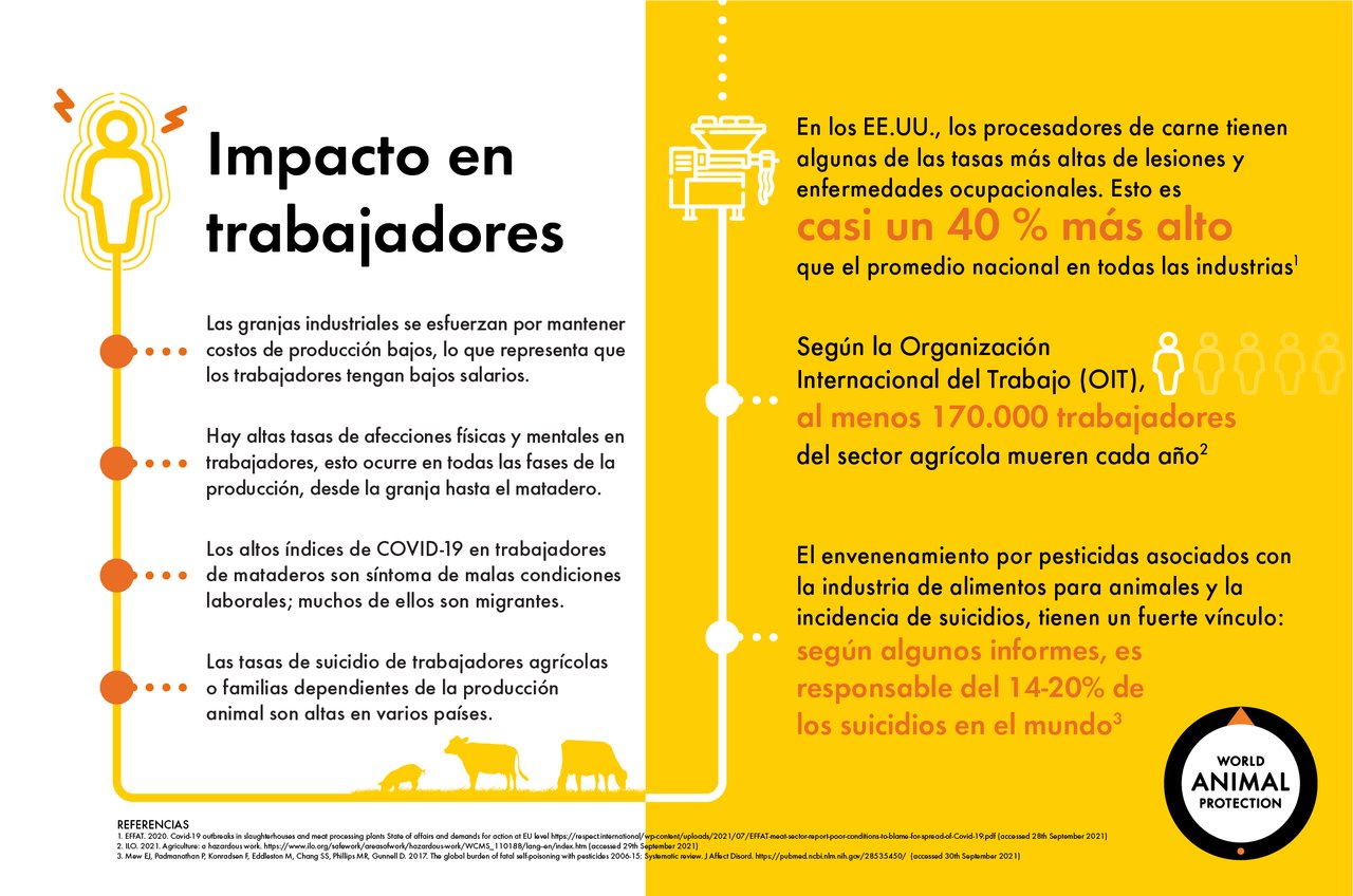 Infográfico muestra los impactos en la salud de los trabajadores de las granjas industriales