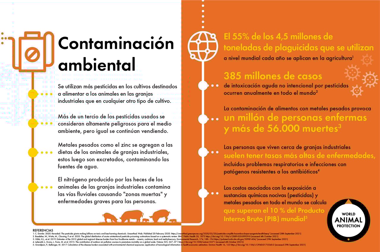 Infográfico muestra los impactos ambientales de las granjas industriales