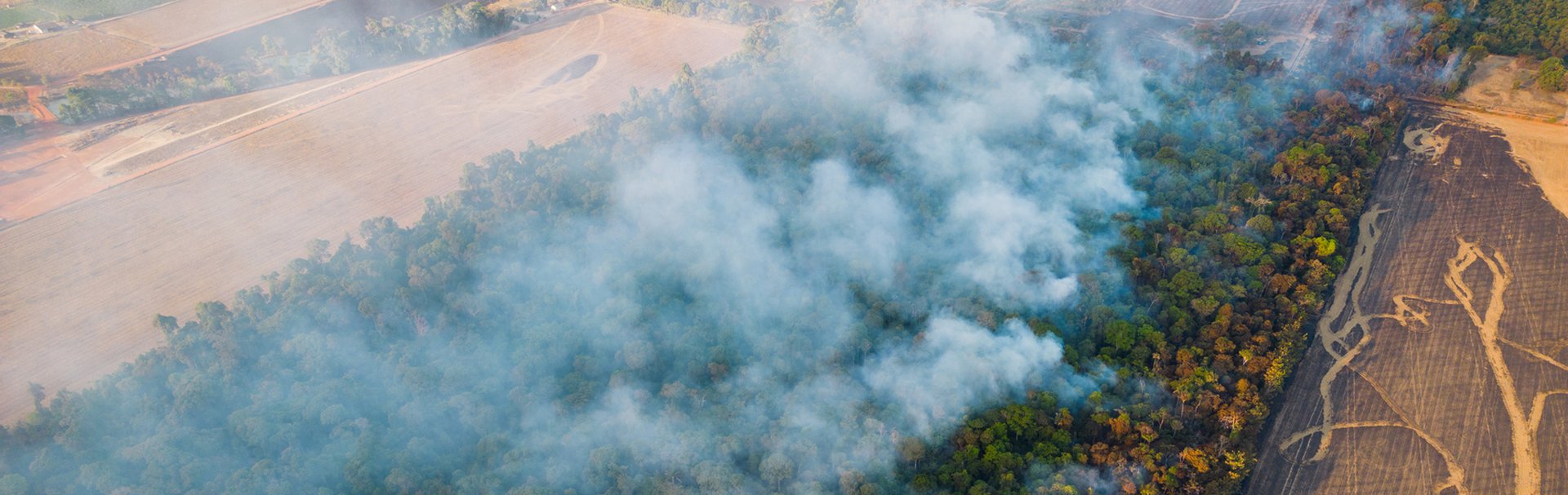 Forest fires in SINOP Municipality. Credit: Noelly Castro
