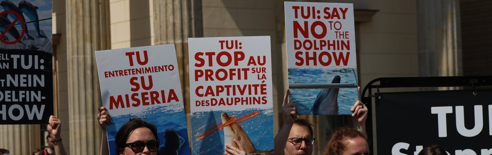 World Animal Protection campaign against TUI Group in Berlin