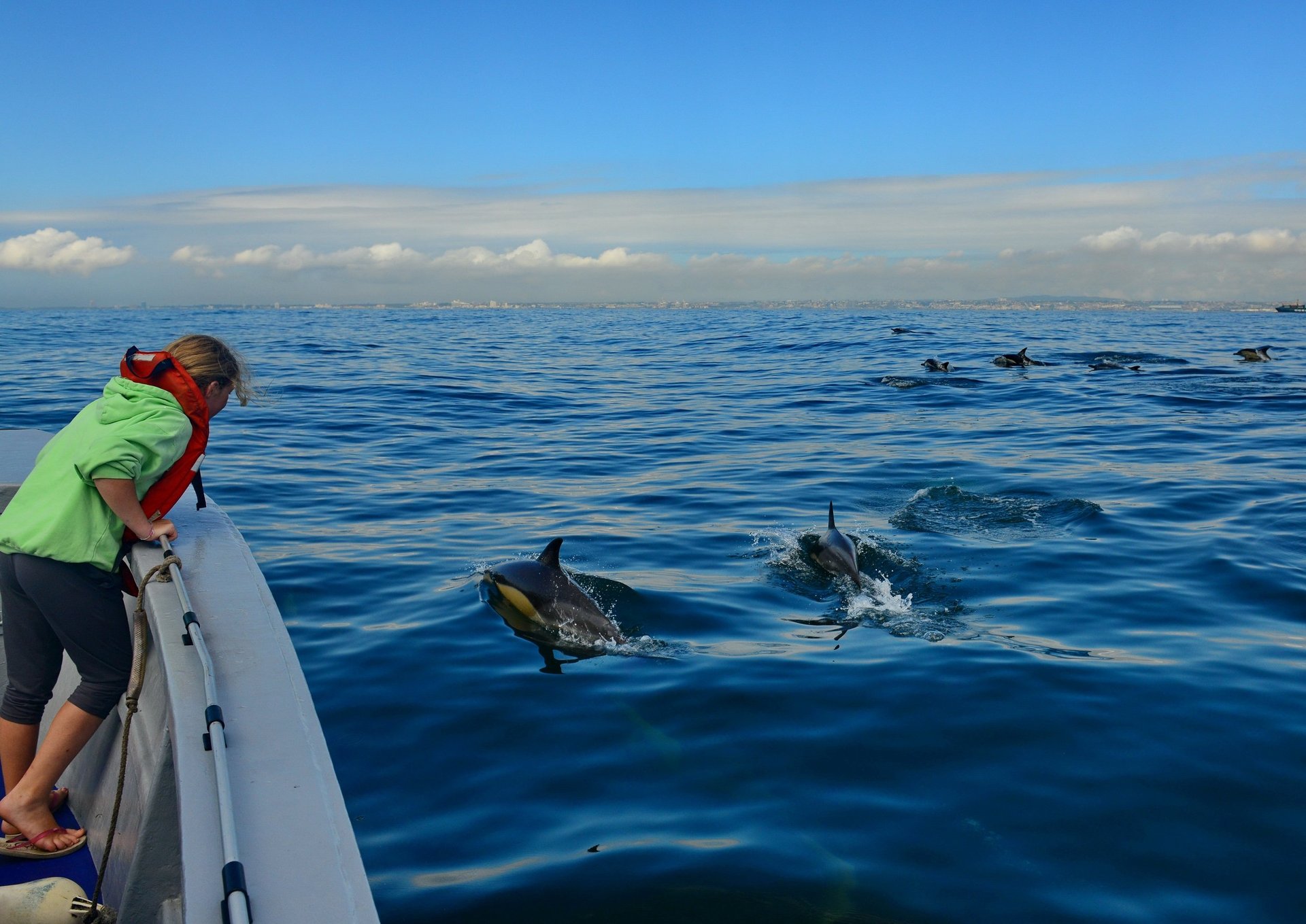 Algoa Bay, Sudáfrica. Crédito: Raggy Charters