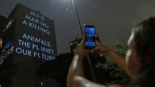 Mujer tomando una foto con su teléfono de un gran edificio con las palabras "JBS está obteniendo grandes ganancias. Animales. El planeta. Nuestro futuro." iluminadas