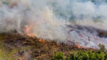 Visão aérea da Amazônia com pontos de fogo, causados pelo desmatamento