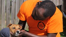 Personal de World Animal Protection atiende perro en Kenia 