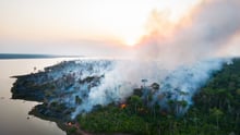 Incendios forestales en Brasil - COP27