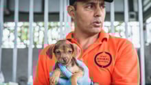Sergio Vásquez holding a dog in the Parismina community of Limon, Costa Rica - Animals in disasters - World Animal Protection