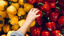 A hand picking vegetable from a wall of colourful red and yellow peppers