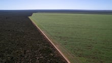 Vista aérea de cultivos de soja cercanos al Área Protegida de la Serra da Tabatinga.