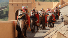 Elefantes cargando turistas en Amer Fort, India.