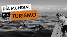 Una turista observa delfines en su hábitat natural de manera responsable y sostenible.