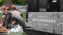 Campaña contra la complicidad de Get Your Guide en la explotación animal.