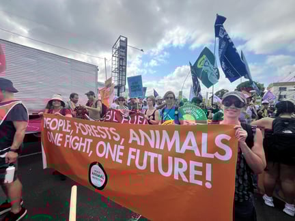 Personal de World Animal Protection sosteniendo una pancarta naranja que dice “Personas, bosques, animales: una lucha, un futuro” en la Marcha Popular de la COP30.