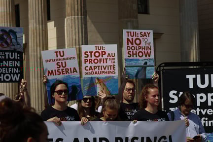 Manifestantes protestan contra los espectáculos de delfines de TUI. crédito: World Animal Protection / Ioanna Varsou & Lauren French