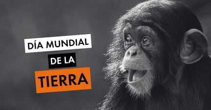 Día Mundial de la Tierra - World Animal Protection