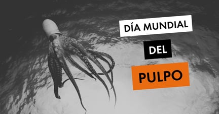 Día Mundial del Pulpo - World Animal Protection