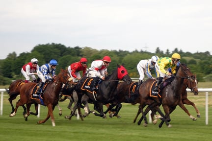 Caballos corren una carrera.