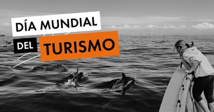 Una turista observa delfines en su hábitat natural de manera responsable y sostenible.