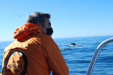 Whale heritage site Dana Point California