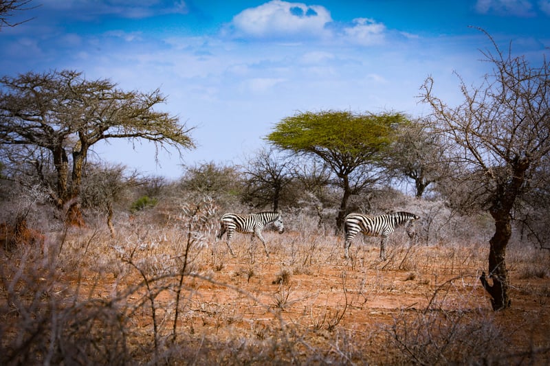 Kajiado County in Kenya is an area which has been adversely affected by climate change.