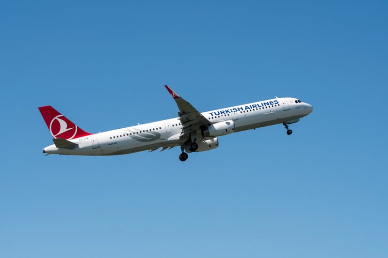 Turkish Airlines: it must act to stop parrot poaching